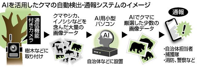 AIでクマ判別、通報 有害獣対策 坂井市 来月に導入：日刊県民福井Web