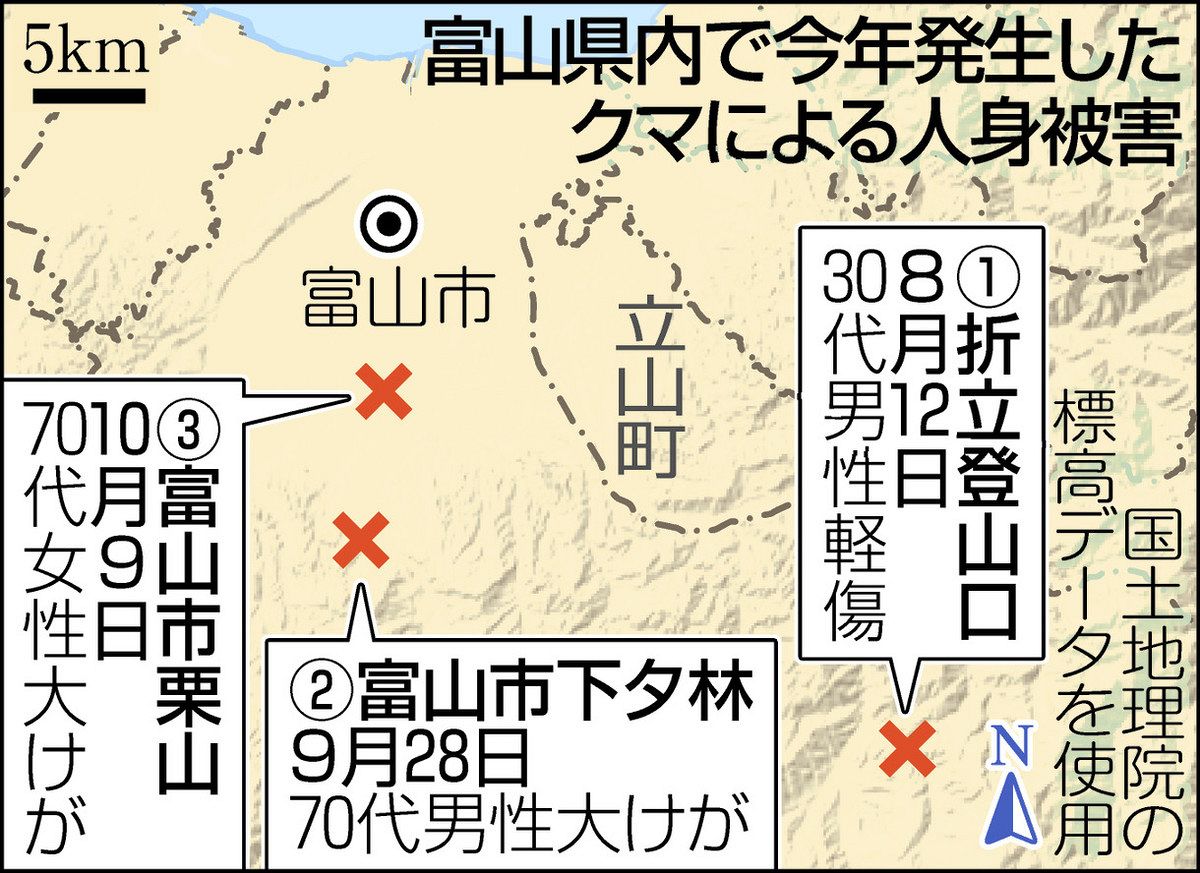庭にクマ 79歳大けが 富山・栗山 顔をひっかかれる：北陸中日新聞Web