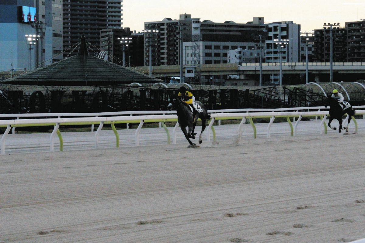 地方競馬　大井競馬のあゆみ 大井競馬、たった2頭でレース実施 出走取り消し続出して地方競馬史上