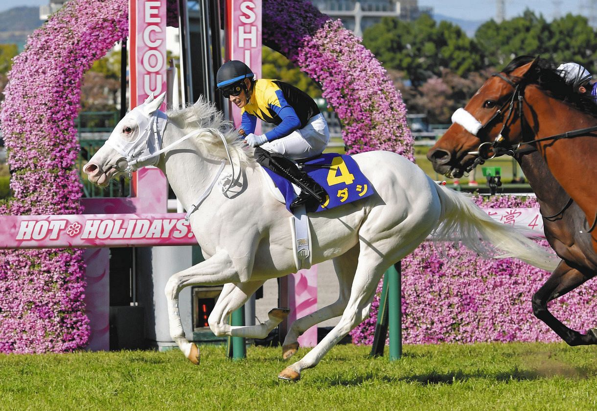 競馬】ソダシ、巻き返しへ本格始動 「体はまた大きくなっているし