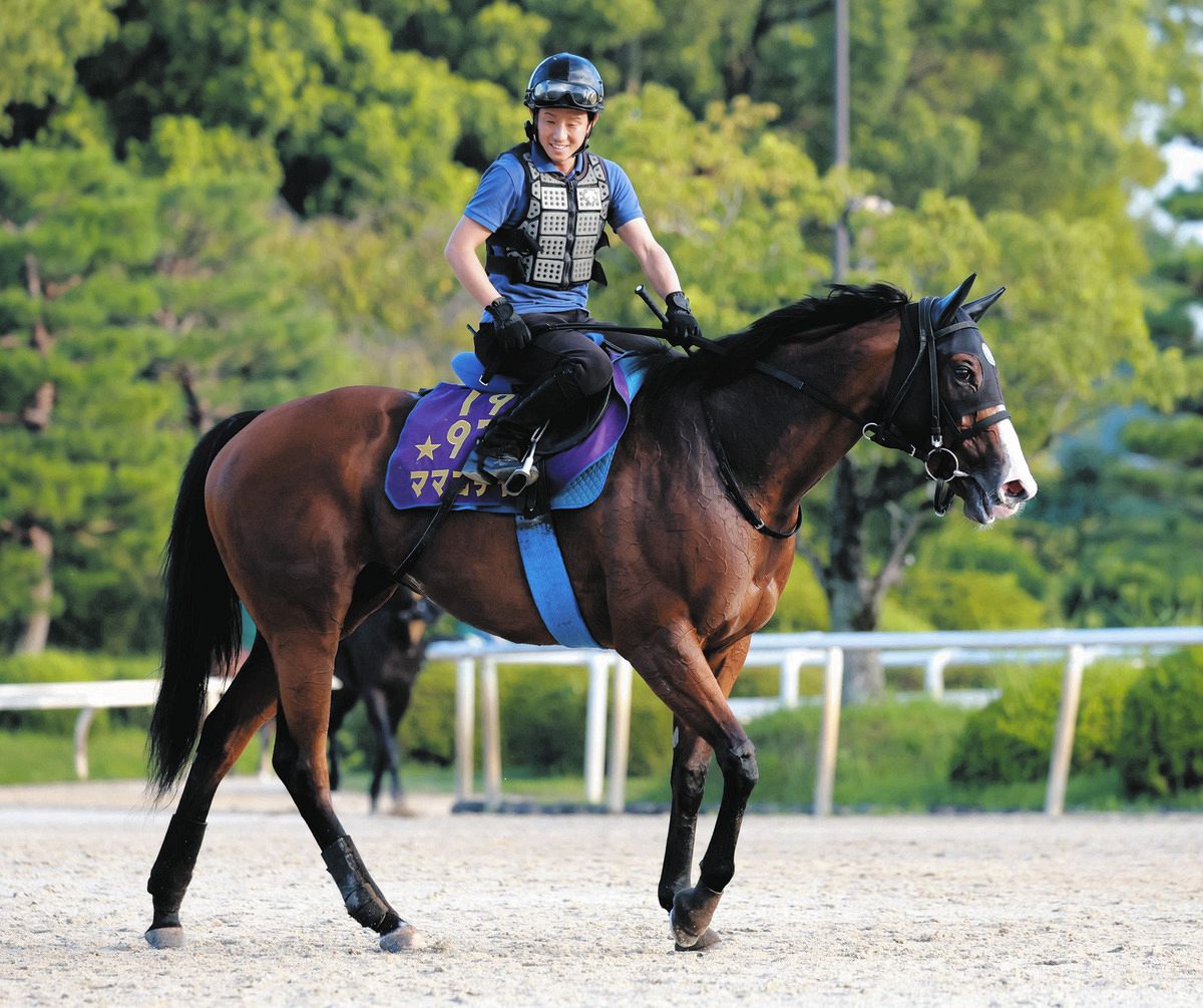 割引購入 送料無料 全出走 ☆スリープレスナイト他全馬 ☆懐かしの単勝馬券 終了したレースの馬券