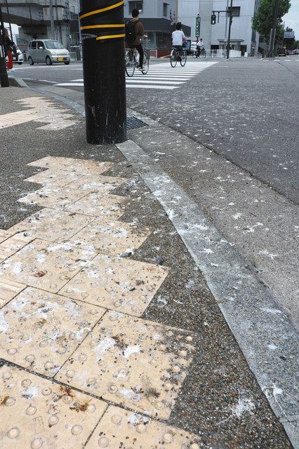 住民 ふん慨 カラス５００羽 松任城址公園周辺ねぐら 路面洗い流し 効果は限定的 北陸中日新聞web
