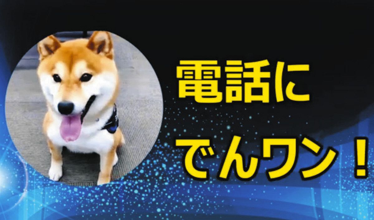 動画でサギにあワン！ 四日市南署と防犯協が制作：中日新聞Web