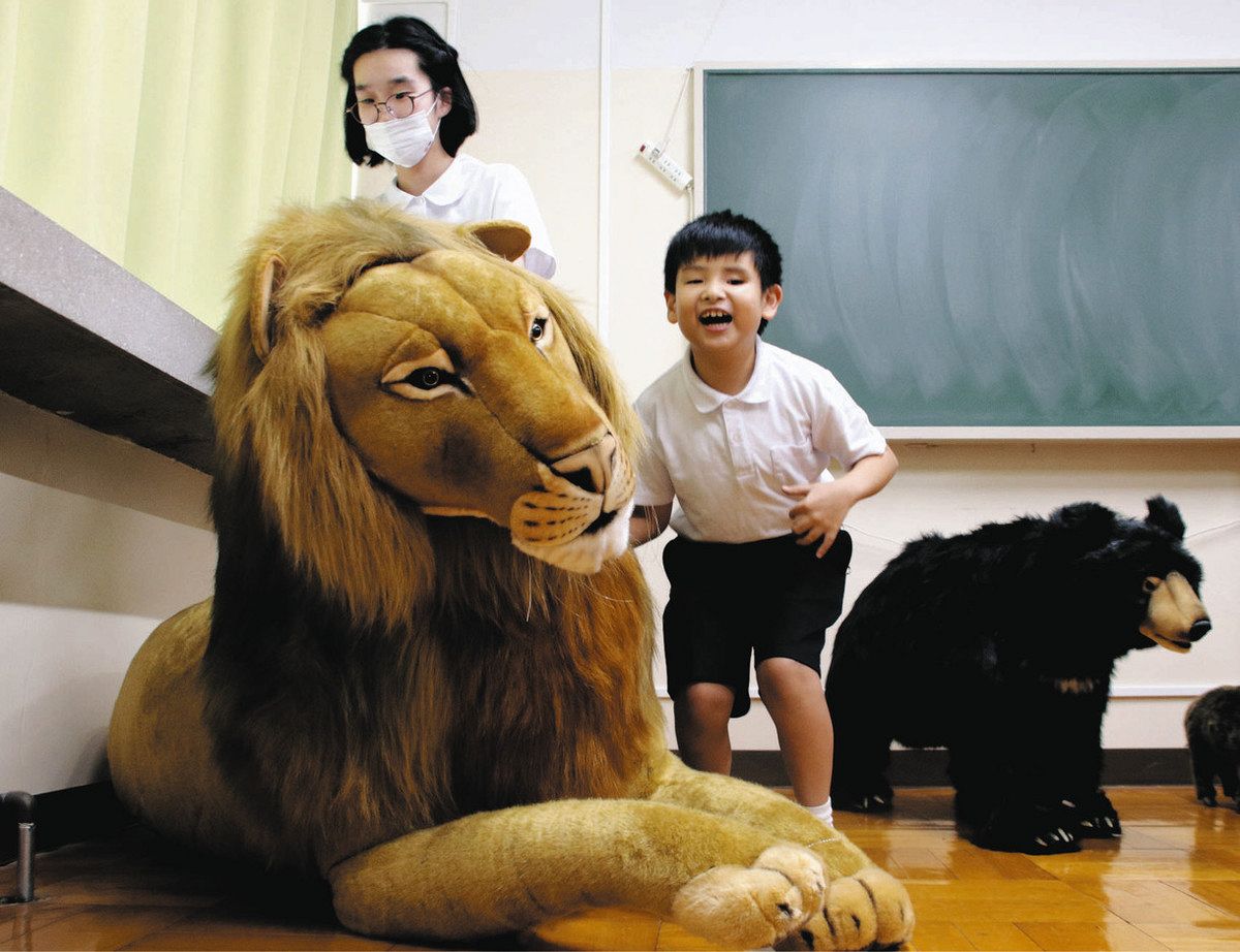 東京動物園協会　おがくず　ライオンぬいぐるみ置物 東京動物園協会 おがくず ライオンぬいぐるみ置物 多摩動物公園 | STORES