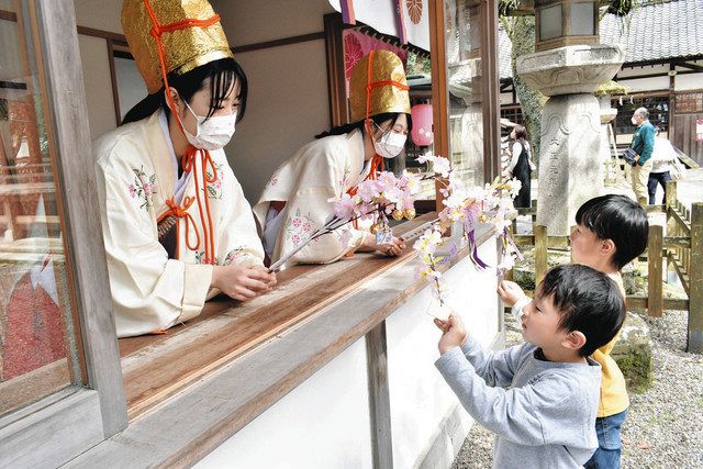 幸せ願い桜の小枝交換 敦賀市・金崎宮の「花換まつり」：中日新聞Web