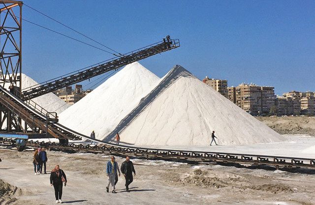 雪ってこんな感じ 巨大な山の正体は塩 エジプト 中日新聞web