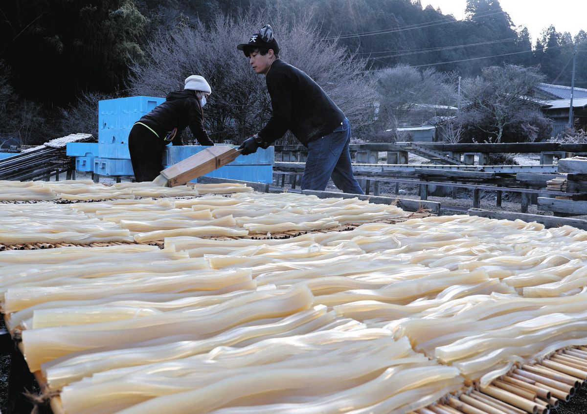 寒空の下で行われている細寒天作り＝恵那市山岡町で