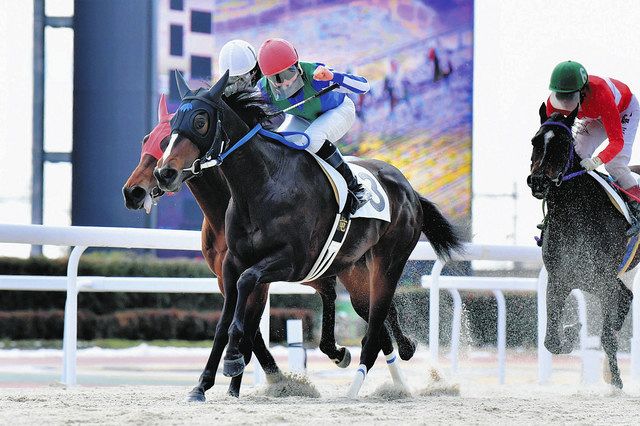 初勝利シマシタ！！ 笠松競馬、ジャンポケ斉藤さん所有馬：中日新聞Web