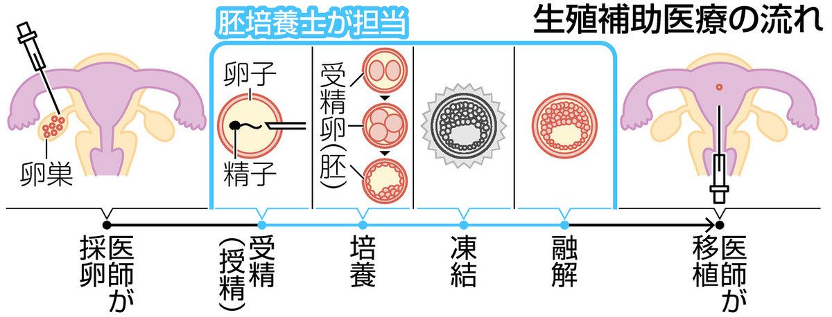 生殖補助医療（ART）-胚培養の理論と実際 Amazon.co.jp: 生殖補助医療(ART)―胚培養の理論と実際 改訂版