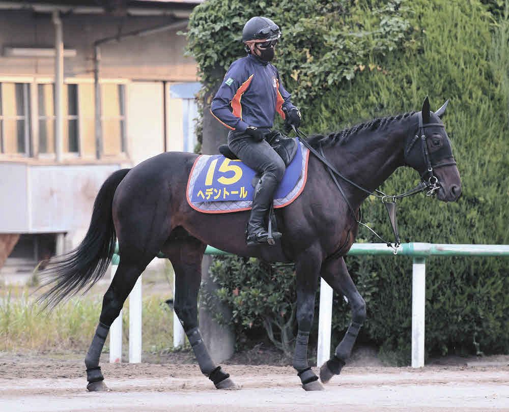 天皇賞・春展望】混戦模様だがダイヤモンドSで圧勝した