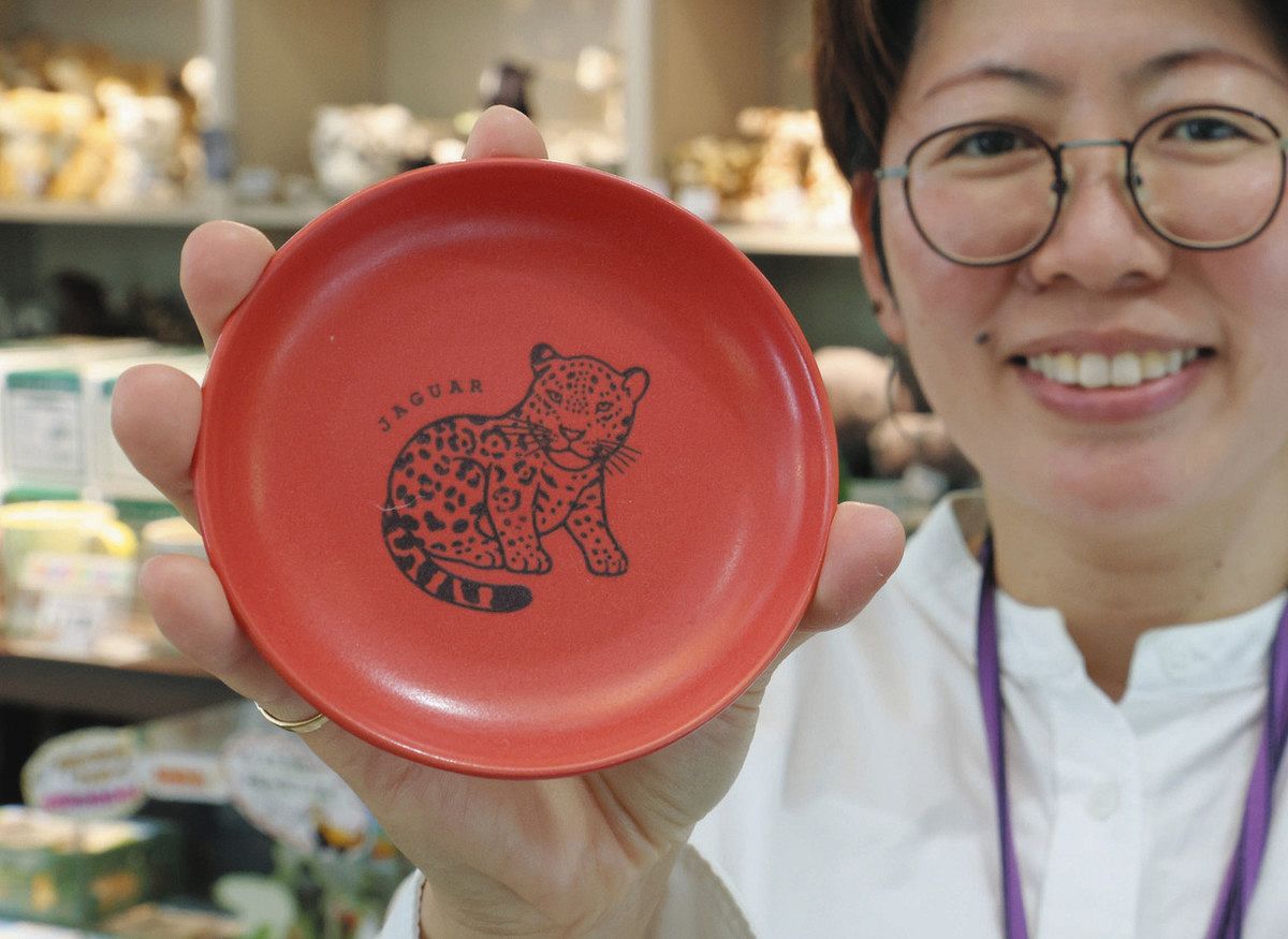 瀬戸焼き 陶器 サンタクロースのプランター プレート