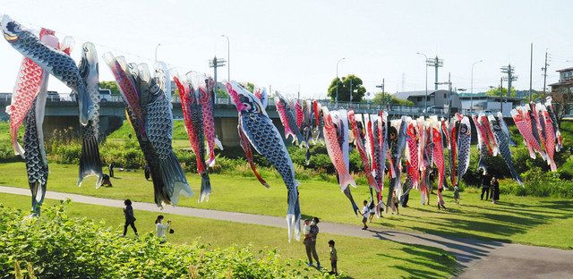 募ったこいのぼり、135匹すいすい 尾張旭：中日新聞Web