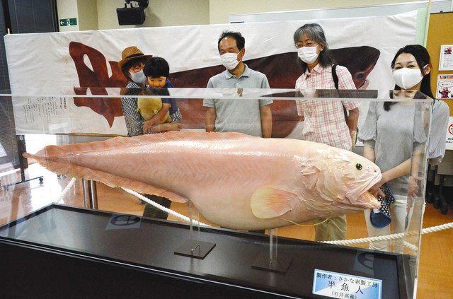 深海漁業