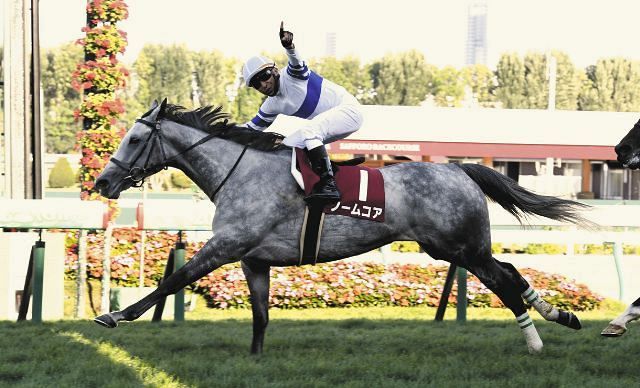 2番人気ノームコアが直線で抜け出しV「G1馬の依頼をもらって驚き」大野騎乗のペルシアンナイトが2着:中日スポーツ・東京中日スポーツ