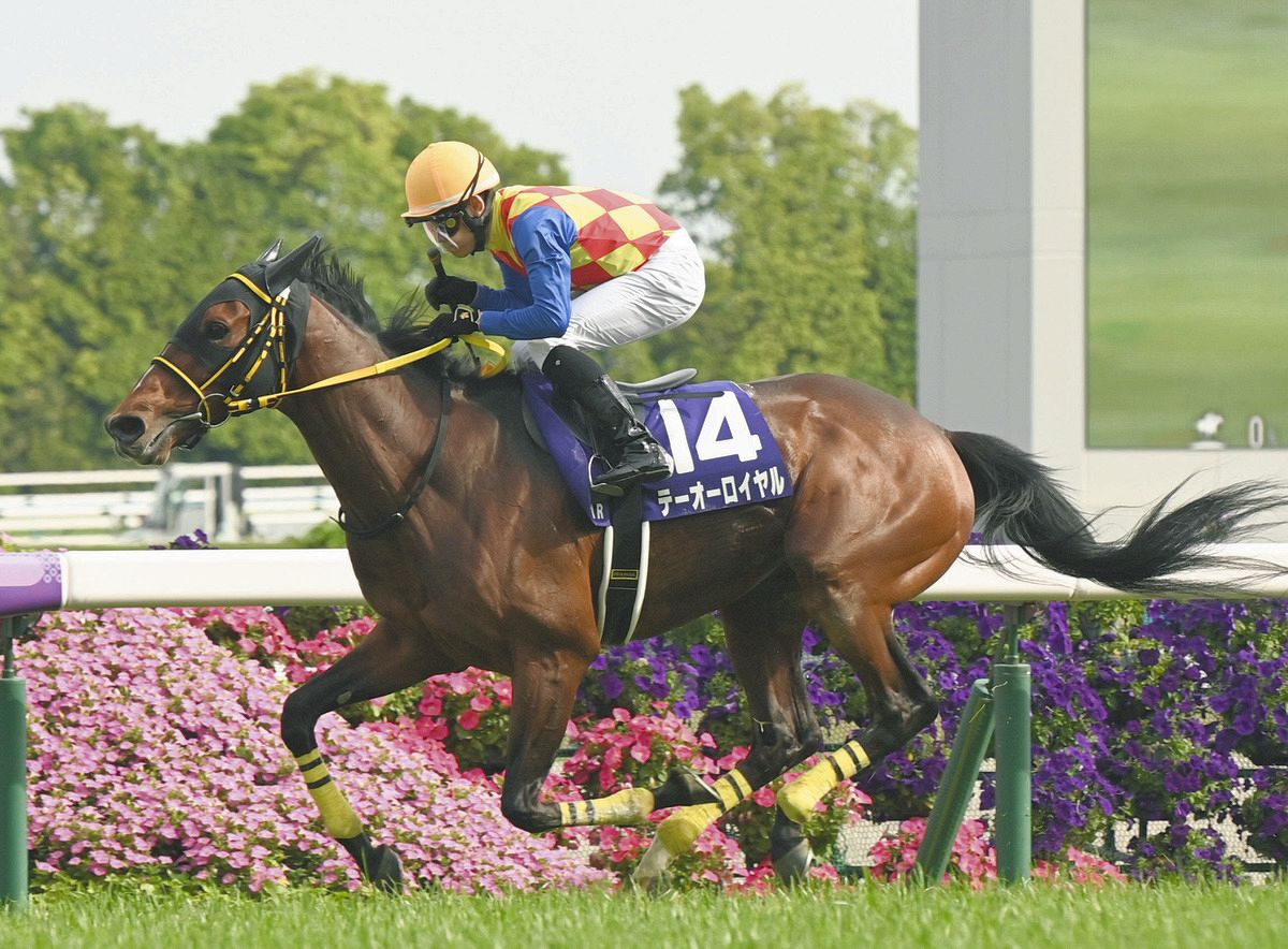 テーオーロイヤルでGⅠ初勝利の菱田裕二、『いつか師匠の馬で』の大願
