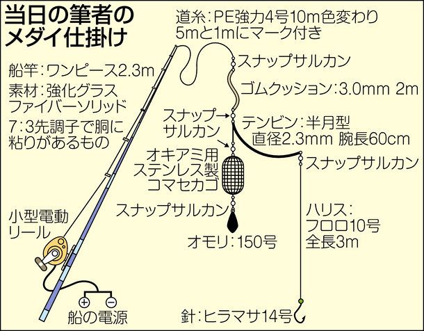 特大メダイ盛期 福井県 若狭湾沖浦島礁 中日スポーツ 東京中日スポーツ