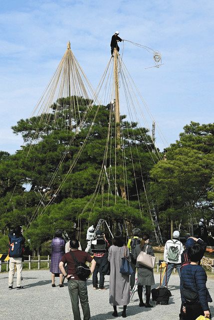 雪つり 冬景色も楽しみ 兼六園 観光客ら見入る 北陸中日新聞web