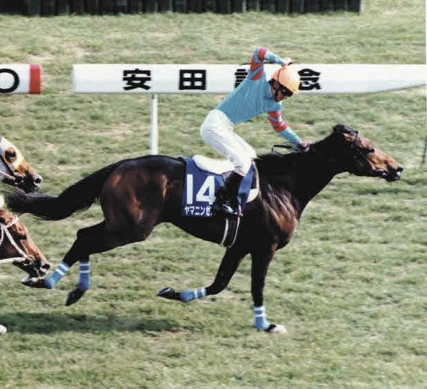 JRA最年長ジョッキー柴田善臣騎手が引退、故障で還暦での騎乗はかなわ