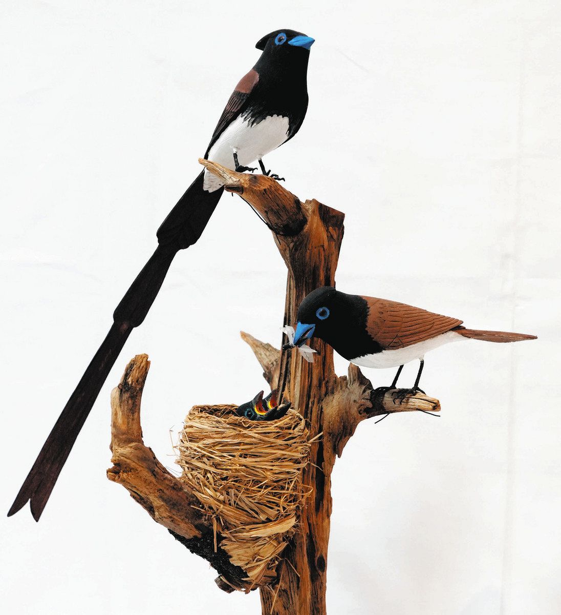 今にも動き出す？バードカービング 森林公園で26日まで展示：中日新聞