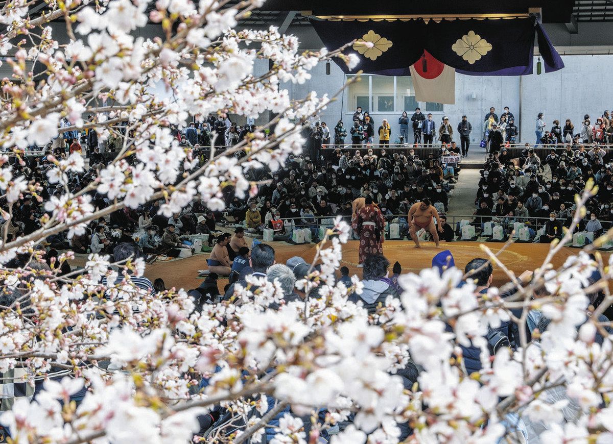 貴重✴︎貴ノ花・曙 伊勢神宮奉納相撲・参拝記念写真 貴重✴︎貴