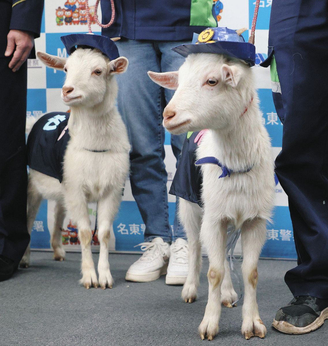 やぎさん様専用 やぎさん 様