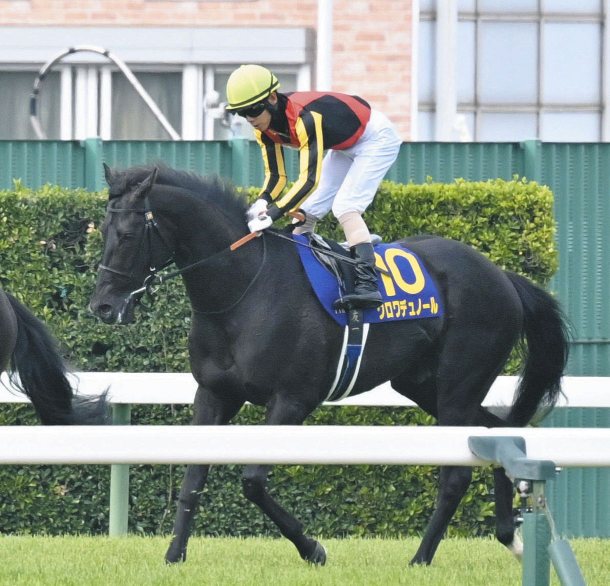 皐月賞】圧倒的1番人気のクロワデュノールがまさかの2着、初の黒星に