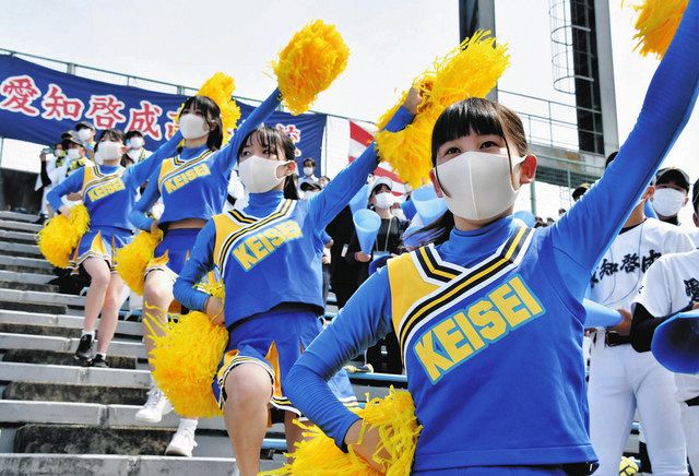 愛知啓成押し切る 小牧市民球場：中日新聞Web