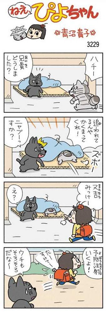 ねえ、ぴよちゃん：中日新聞Web