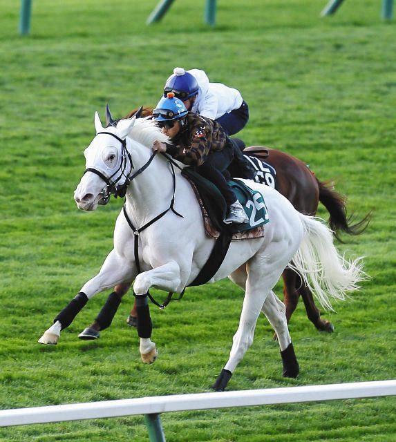 あすつく ソダシ コースター 札幌競馬 | carren.jp