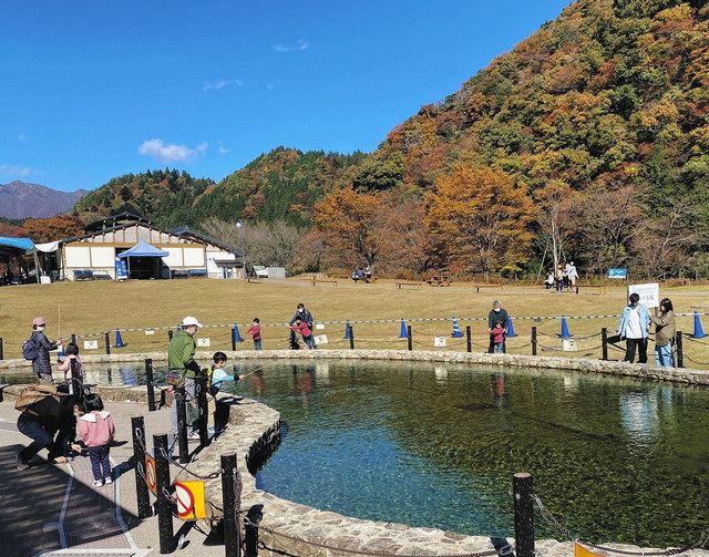 白鳥でのんびり秋遊び 岐阜県 郡上市 中日スポーツ 東京中日スポーツ