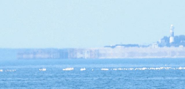 蜃気楼ゆらゆら 20回目 魚津の海岸線、ランク「B」：北陸中日新聞Web