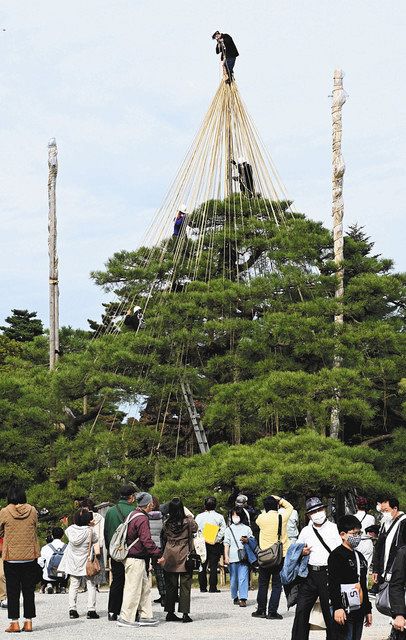 石川】兼六園 迎「冬」準備 雪つり作業：北陸中日新聞Web