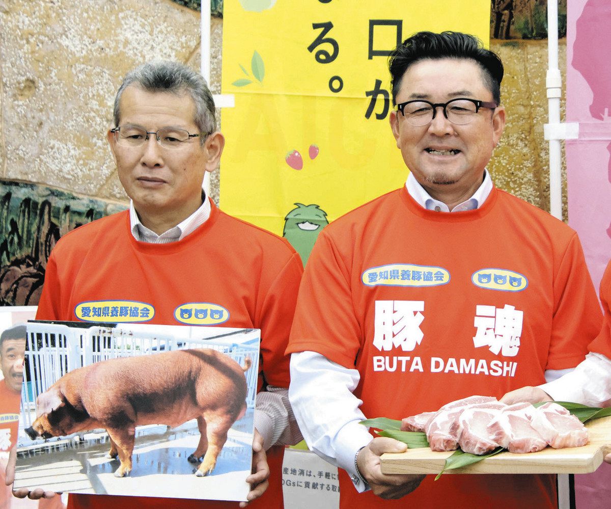 脂身が少なく、ロース肉が大きめ」三元豚改良 愛知県農業総合試験場