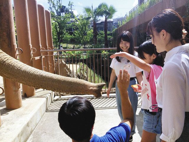 被災した子どもたちと触れ合う学生＝名古屋市の東山動植物園で（愛知淑徳大提供） 