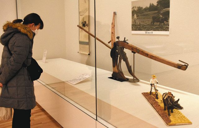 農機具など、ウシまつわる所蔵品が集う 県総合博物館で企画展：中日新聞Web
