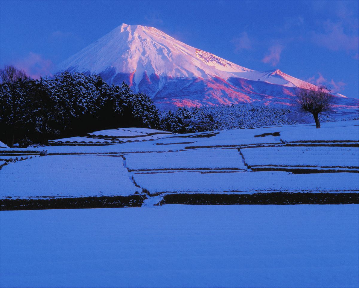かぐや姫が帰ったのは月でなく……、「富士山の日」に記者が伝承の地 