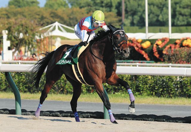 チャンピオンズC】ジュンライトボルト、河合純二オーナーにG1初