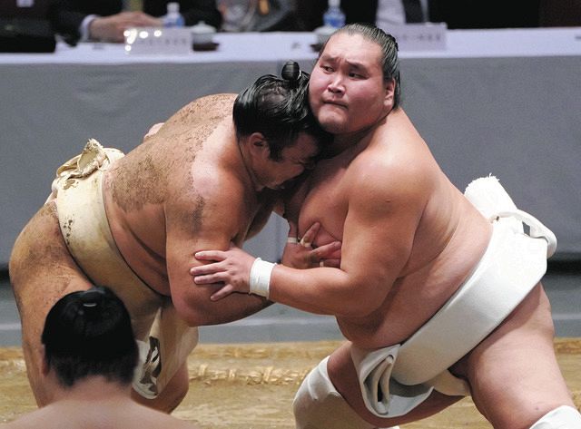 アマダ　相撲　大関　千代の富士　写真　最終値引 アマダ相撲大関千代の富士写真最終値引