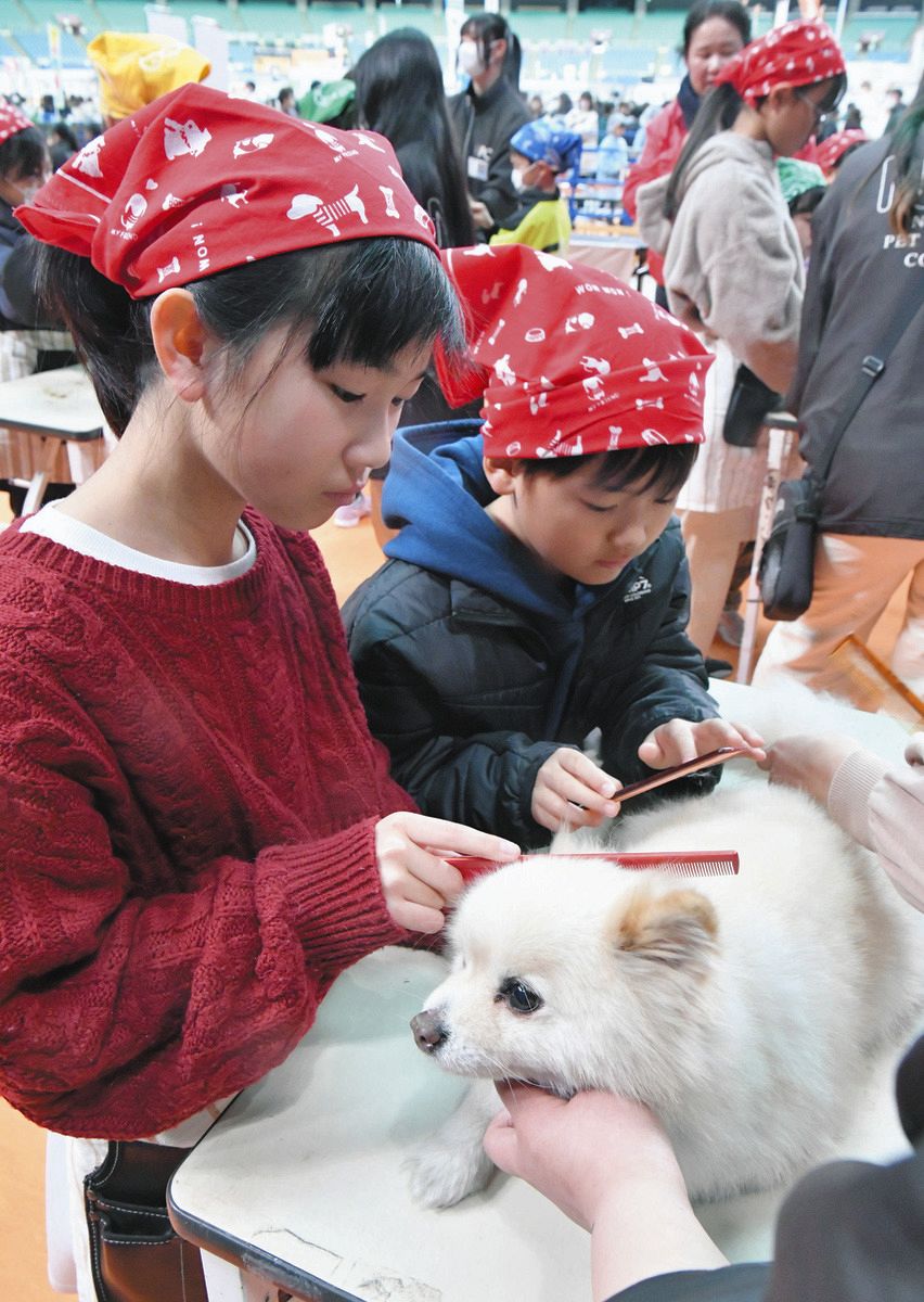 バンテリンドームに愛犬が大集合！ 「わんにゃんドーム2024」：中日新聞Web