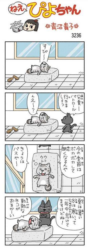 ねえ、ぴよちゃん：中日新聞Web
