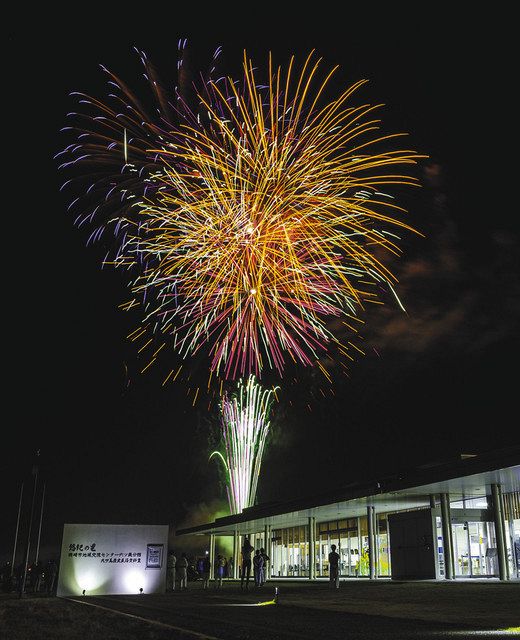 コロナ収束 花火に願う 岡崎の５カ所でサプライズ企画 中日新聞web