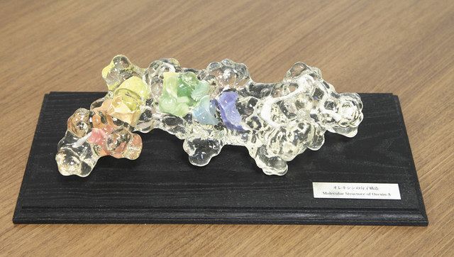 オレキシンの分子模型