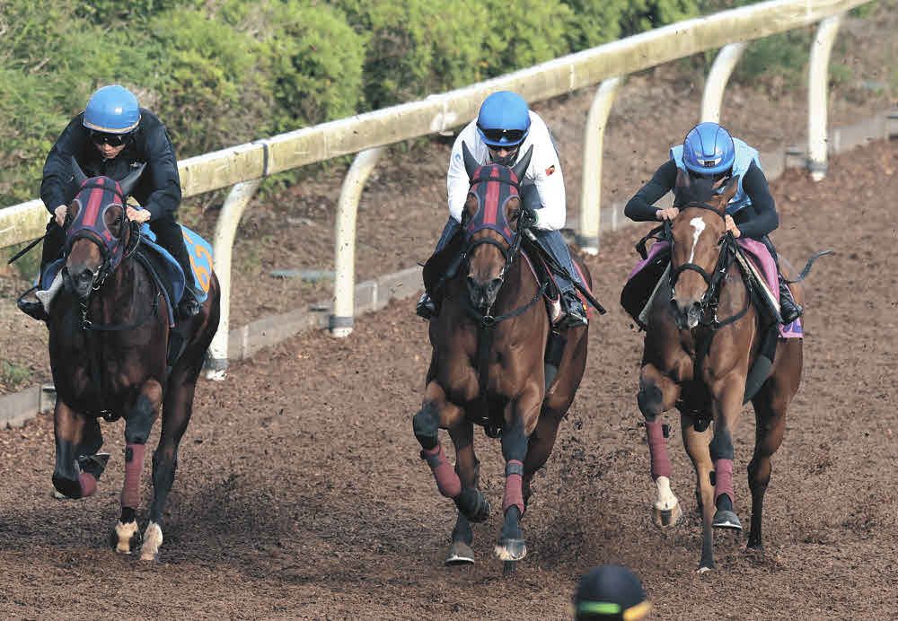 エンブロイダリー（中）と併せて追われるサフランヒーロー（左）