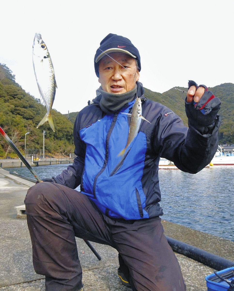 投げサビキ快引 アジ18センチ頭に30匹ゲット 三重県南伊勢町