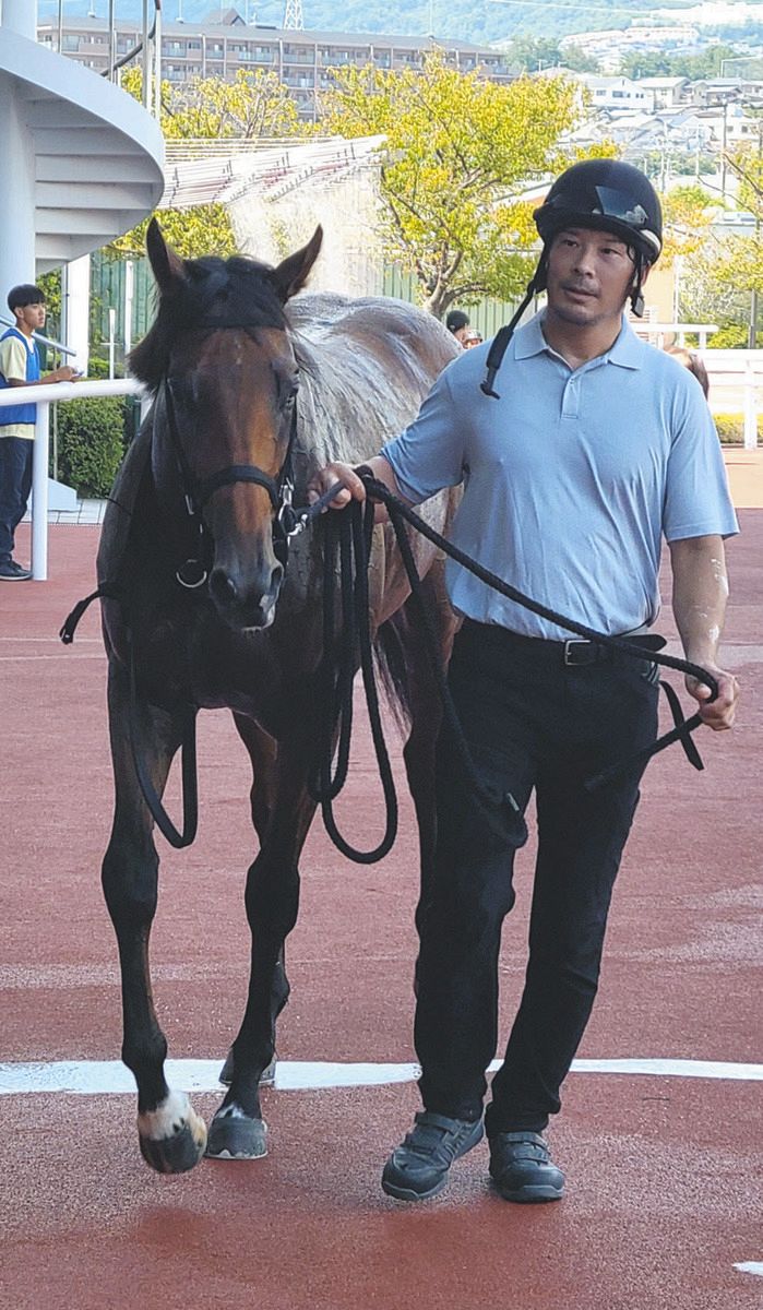 阪神5R新馬】7番人気アイガーリーが逃げ切り初陣飾る 「性格が素直で