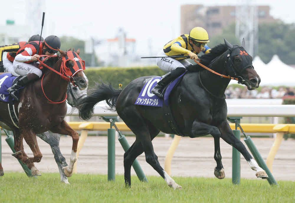 フランス競馬百年史　ギイ.チボー著　貴重 国内馬券発売】ジャック・ル・マロワ賞 2025 出走馬全頭解説