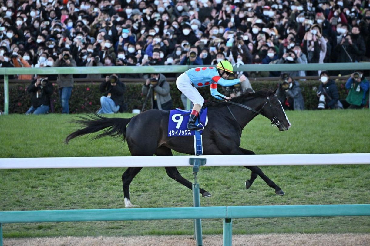 一口馬主限定 イクイノックス 有馬記念 競馬 - キャラクターグッズ