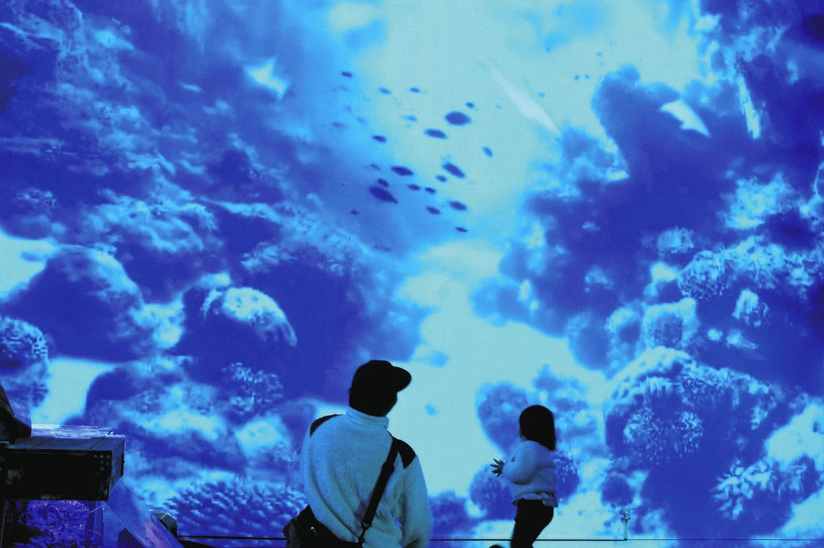 光と音…まるで海の中 南知多ビーチランド、魚類展示エリア刷新：中日