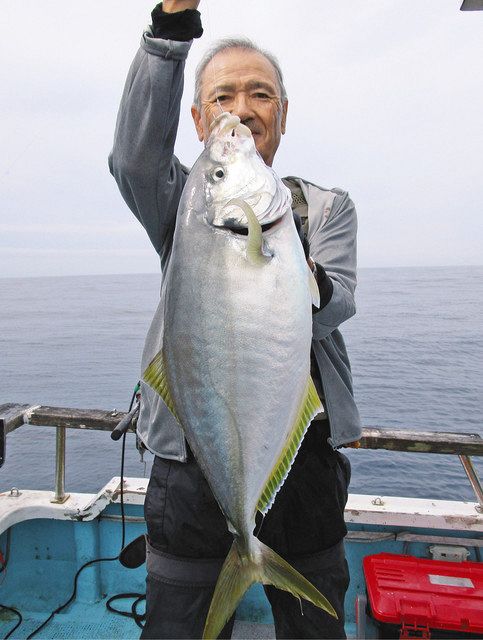 シマアジ釣針24号 115本土佐手打更に大特価 有難かっ