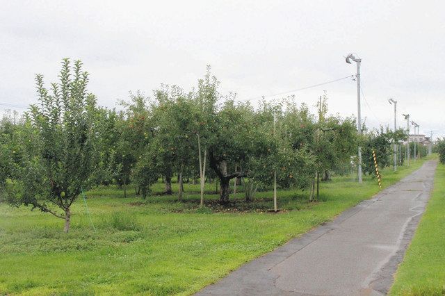 県果樹試験場にある実生などを育てる農地。広さは９．４ヘクタールある＝須坂市で 